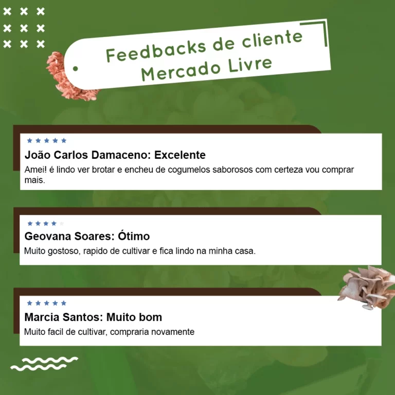CoguBox Clientes