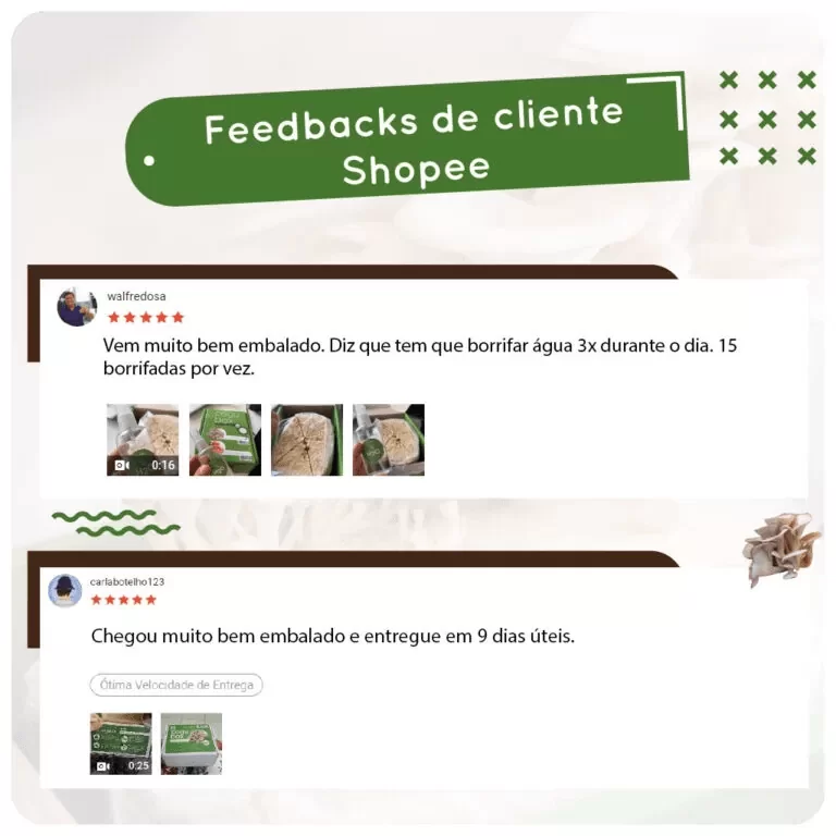 CoguBox Clientes