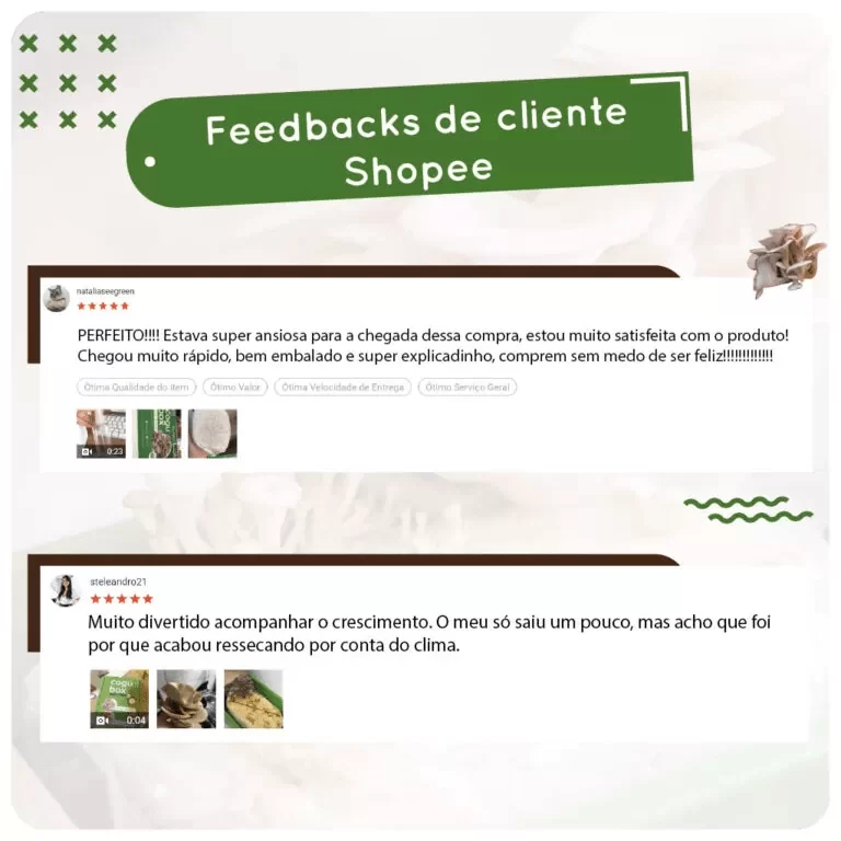 CoguBox Clientes